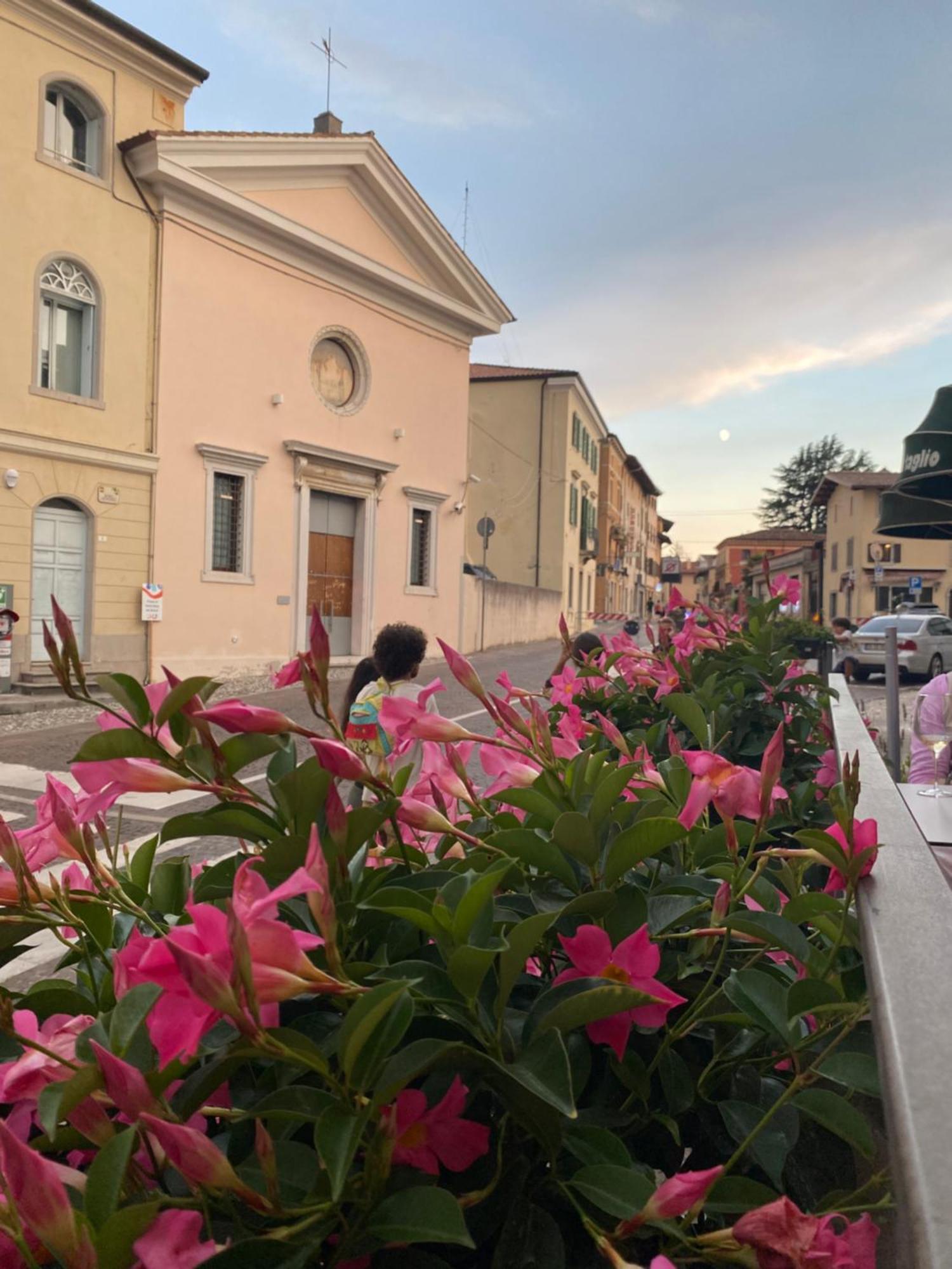 Il Riccio E Il Gufo Hotel Cepletischis Екстериор снимка